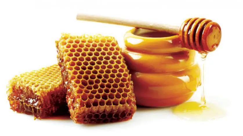 ارباح مناحل عسل