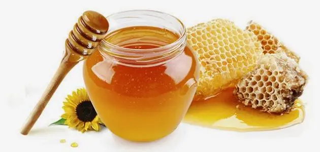 انتاج العسل 