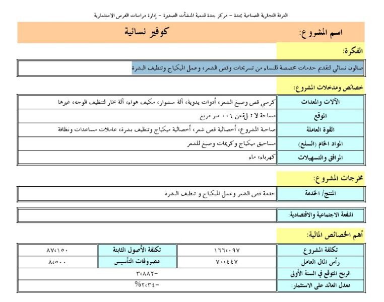 نموذج-دراسة-جدوى-مشغل-نسائي