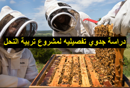 دراسة جدوى مشروع منحل عسل