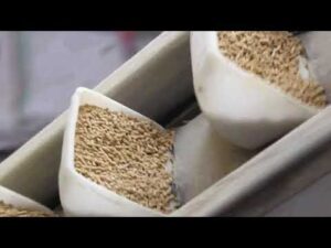 دراسة جدوى مصنع اعلاف في السعودية