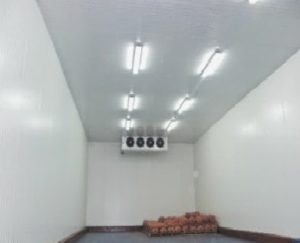 مشروع انشاء ثلاجة تبريد