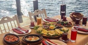 شركة مطاعم تركية