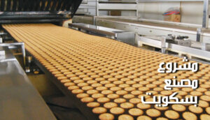 دراسة جدوى مشروع مصنع بسكويت