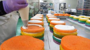 دراسة جدوى مشروع مصنع كيك