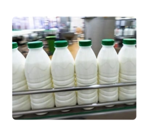 دراسة جدوى مصنع حليب