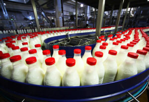 كيفية انشاء مصنع البان صغير